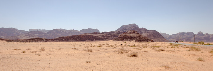 Wadi Rum (Valley of the Moon) red sand dunes, sandstone and granite rock view in southern Jordan. Wadi Rum Protected Area was named a UNESCO World Heritage Site in 2011