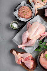 Raw chicken meat parts with spices and herbs for cooking on gray background.
