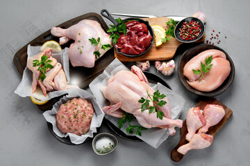Raw chicken meat parts with spices and herbs for cooking on gray background.