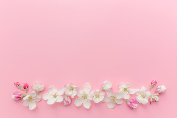 Fototapeta na wymiar Flat lay on pink background with apple blossom ornament border