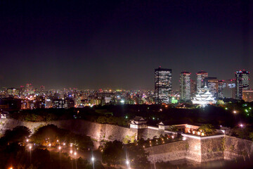 Fototapeta na wymiar 冬の大阪の夜景