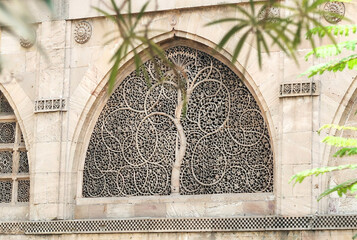 The window "Tree of Life" Sidi Saiyyed Mosque or Sidi Saiyyid ni Jali in Ahmedabad Gujarat India