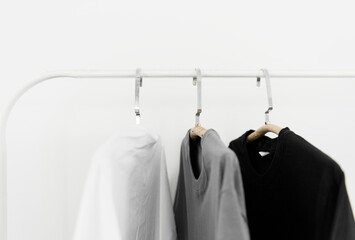 Basic Color Clothes Hanging on a Rack