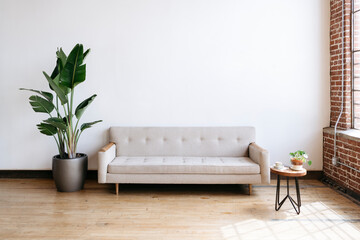 Modern beige fabric couch and plant in living room - Powered by Adobe