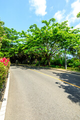 Asphalt road and green forest scenery.