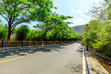 Asphalt road and green forest scenery.