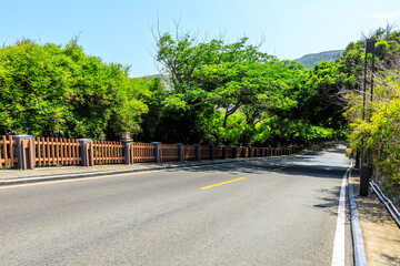 Asphalt road and green forest scenery.