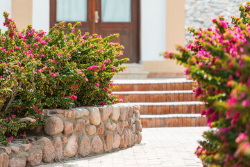 Obraz premium Way in garden