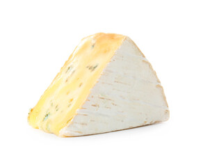 Piece of tasty cheese on white background