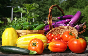 Fresh Summer Vegetable Harvest Fresh Organic Food Concept