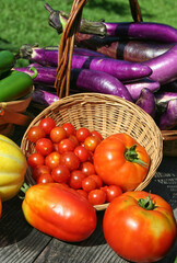 Fresh Summer Vegetable Harvest Fresh Organic Food Concept