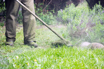 Lawn mover on green grass. Machine for cutting lawns.