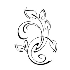 ornament 1770. unique decorative element with stylized leaves and curls in black lines on a white background
