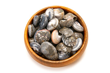 ながらみ貝の塩茹で