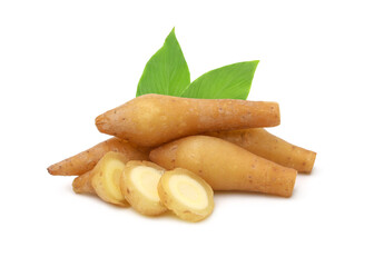 Finger root (Krachai) and sliced with leaves isolated on white background,herb.