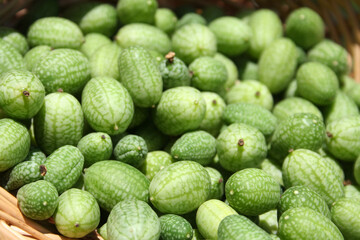 Summer Harvest Miniature Mexican Watermelons - Melothria scabra