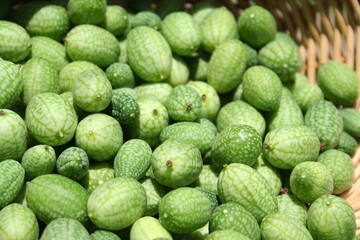 Summer Harvest Miniature Mexican Watermelons - Melothria scabra