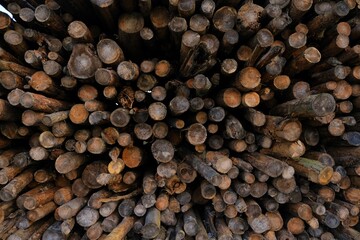 Wooden cuts background. timber and wood. Stacked timber logs.Tree trunks background. Logs close-up....
