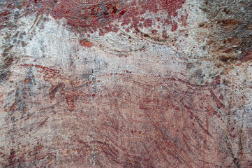 Cross-section of a log cut by a saw, background image of a log