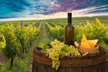Fototapeta premium Various kind of cheese served on wooden table. Italian Toscana landscape on background. Traditional pieces of french and italy hand-made cheese. Copyspace for text