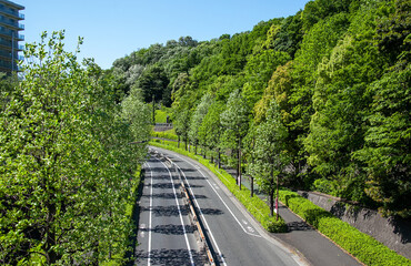 サイクルロード、稲城市｜東京オリンピックの自転車競技に選ばれたサイクリングロード、緑に囲まれた緩やかな上り坂です