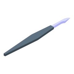 Manicure tool icon. Isometric of Manicure tool vector icon for web design isolated on white background