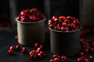 Gooseberry Rose fruits in dark mood on trendy background