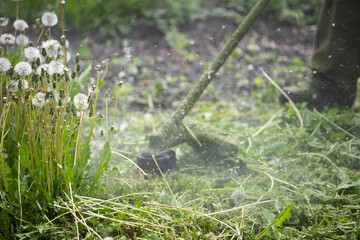 Lawn mover on green grass. Machine for cutting lawns.