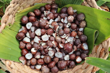 Mbokaja nuts from paraguay in a basket, paraguayan indigena nuts with a lot of proteins, indiginal...