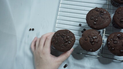 Selective focus of someone holding a homemade chocolate muffin and with some muffin on a tray with white background