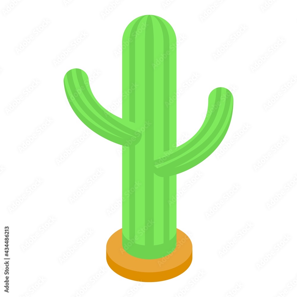 Poster desert cactus icon. isometric of desert cactus vector icon for web design isolated on white backgrou