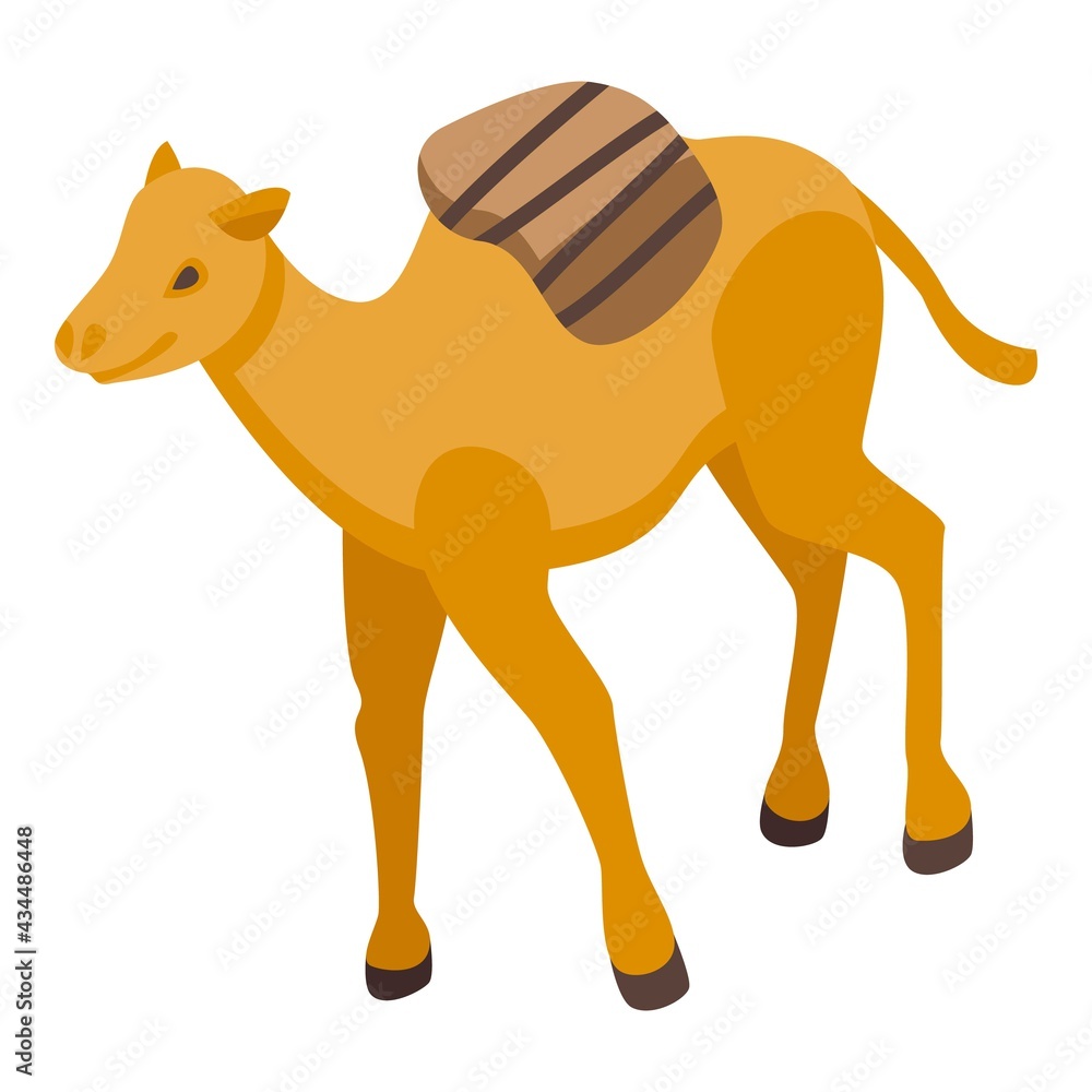 Poster zoo camel icon. isometric of zoo camel vector icon for web design isolated on white background