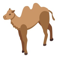 Tourism camel icon. Isometric of Tourism camel vector icon for web design isolated on white background