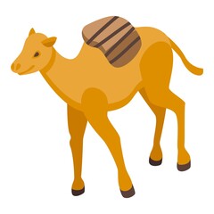Obraz premium Zoo camel icon. Isometric of Zoo camel vector icon for web design isolated on white background