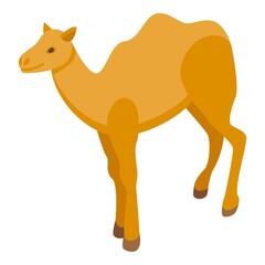 Wildlife camel icon. Isometric of Wildlife camel vector icon for web design isolated on white background