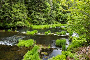 Fototapeta na wymiar Lower Lake Creek Falls Recreational area, Oregon