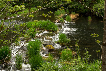 Lower Lake Creek Falls Recreational area, Oregon