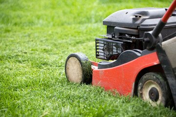Obraz premium Lawn mover on green grass. Machine for cutting lawns.