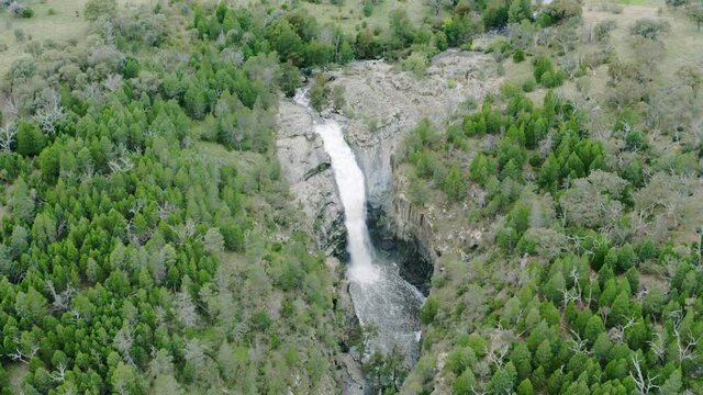 Waterfall in forest