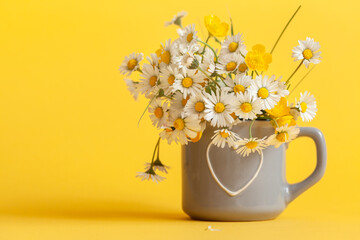 Bouquet of daisy flowers in gray cup on yellow background. Spring still life with little chamomile.