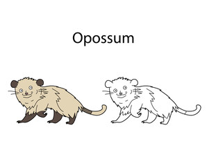 Funny cute animal opossum isolated on white background. Linear, contour, black and white and colored version. Illustration can be used for coloring book and pictures for children