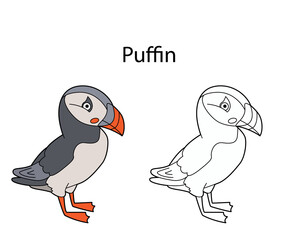 Funny cute bird puffin isolated on white background. Linear, contour, black and white and colored version. Illustration can be used for coloring book and pictures for children