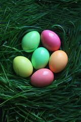 Colorful easter eggs in the green grass