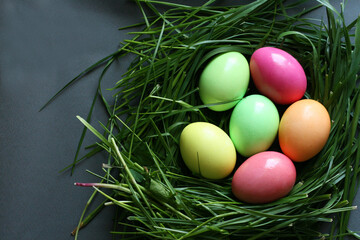 Сolorful easter eggs in the green grass