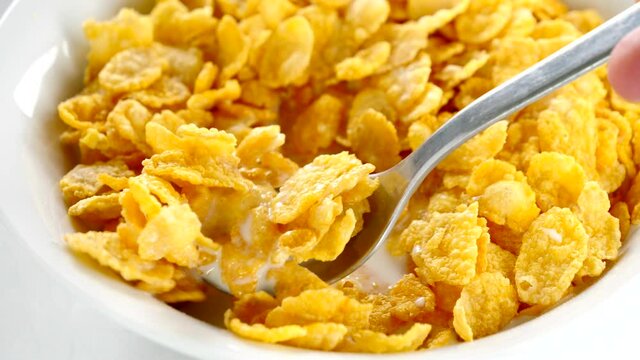 matin cornflakes with milk