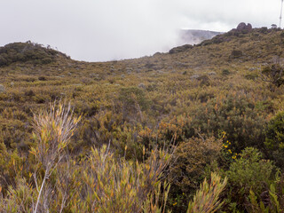 Am Cerro de la Muerte, Costa Rica, der höchste Punkt der Panamericana. Der Berg gehört zu dem Gebiergszug Cordillera de Talamanca.