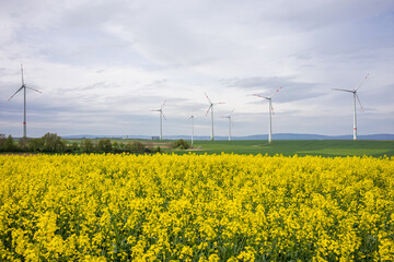 Windkraftanlage in der Nähe von Mainz, Rhein-Hessen Deutschland, mit Rapsfeld im Vordergrund.