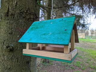 birdhouse hanging on a tree in the spring season