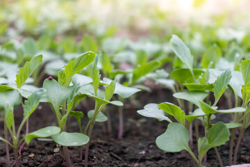 bunch lilac in vase on table