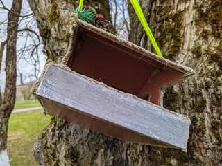 birdhouse hanging on a tree in the spring season